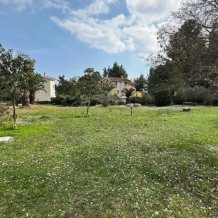 Family House 5' From Vakantiehuis *